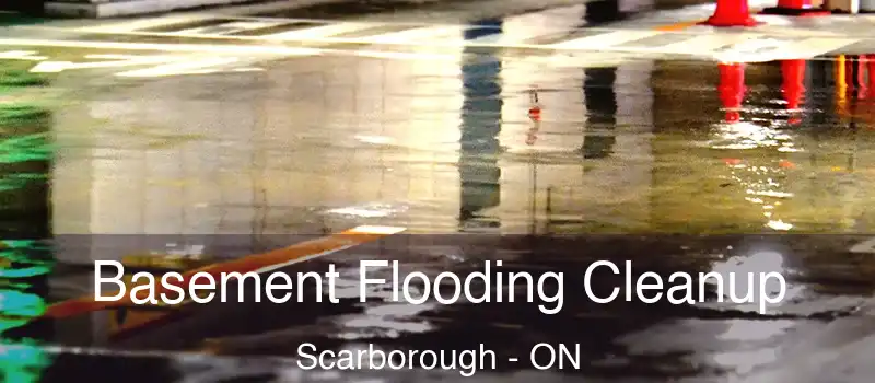  Basement Flooding Cleanup Scarborough - ON