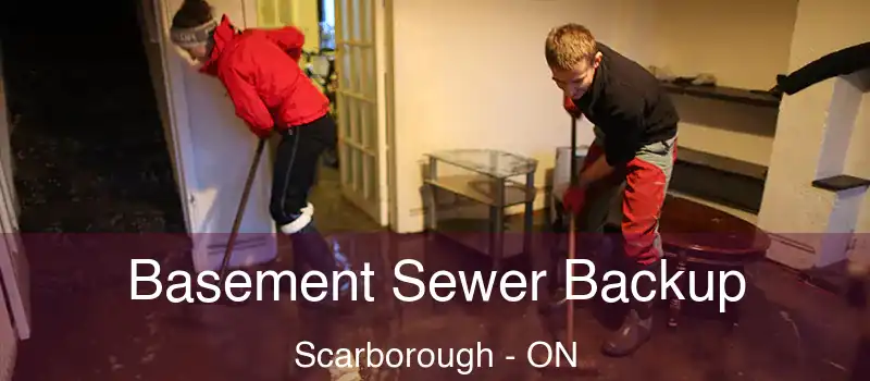  Basement Sewer Backup Scarborough - ON