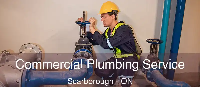  Commercial Plumbing Service Scarborough - ON