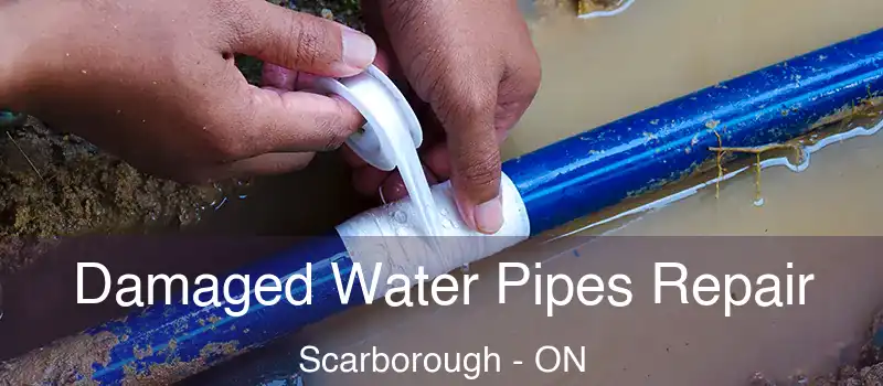  Damaged Water Pipes Repair Scarborough - ON