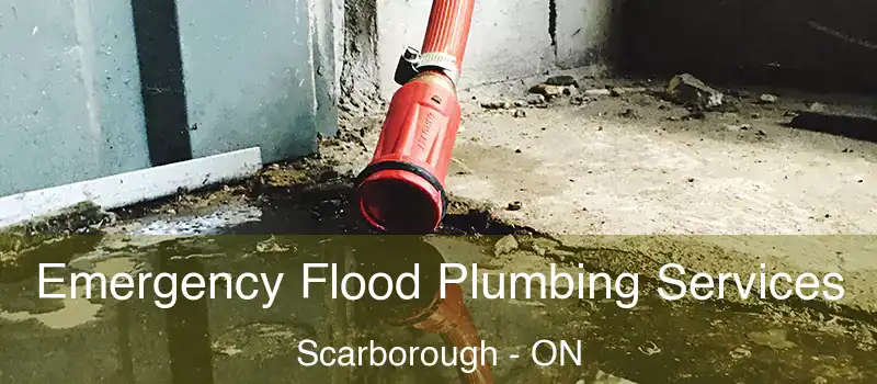  Emergency Flood Plumbing Services Scarborough - ON