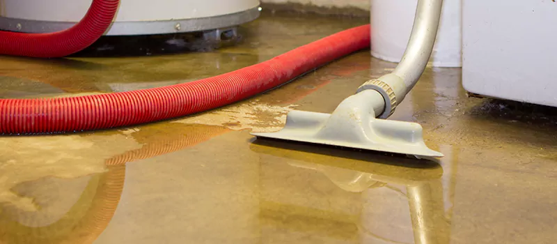 Professional Sewer Backup Cleanup Services in Scarborough, ON