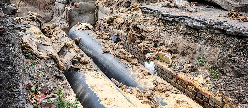 Commercial Sewer Tree Roots Damage Solutions in Scarborough, ON