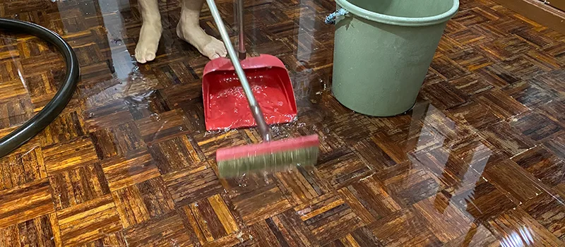 Water Removal And Restoration Services in Scarborough, ON