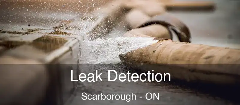  Leak Detection Scarborough - ON