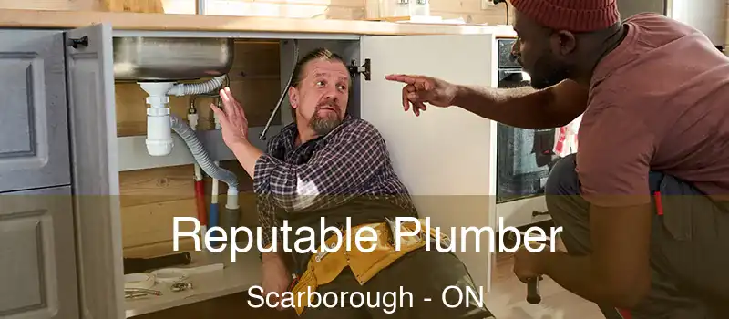  Reputable Plumber Scarborough - ON