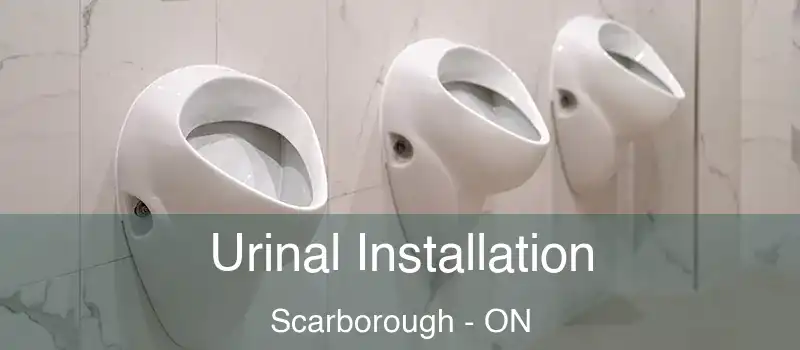  Urinal Installation Scarborough - ON