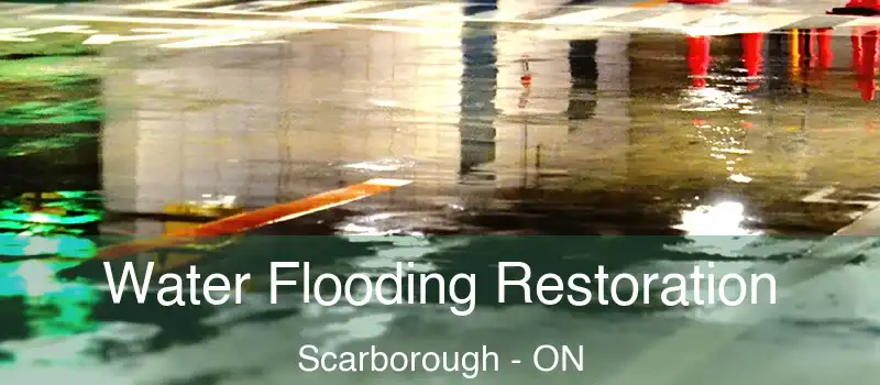  Water Flooding Restoration Scarborough - ON