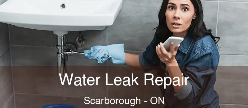  Water Leak Repair Scarborough - ON