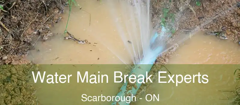  Water Main Break Experts Scarborough - ON
