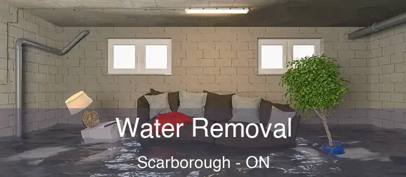  Water Removal Scarborough - ON